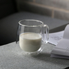 Hot selling reusable double wall glass coffee mug